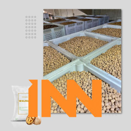 CHILEAN WALNUT – WHOLESALE NATURAL, HIGH-QUALITY SERR & CHANDLER WALNUT VARIETIES
